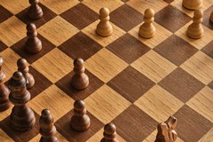 Torneo regionale di scacchi: in gara anche alcuni giovani di Molfetta