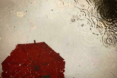 Prosegue l'allerta meteo su Molfetta: pioggia anche oggi