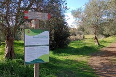 Un ciclo di incontri alla scoperta del Parco Naturale di Lama Martina
