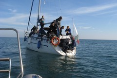Tartarughe marine: aumentano gli arrivi al Centro di Recupero di Molfetta