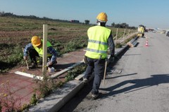 Area mercatale, i rappresentanti di categoria: «Chiederemo spiegazioni al Comune»