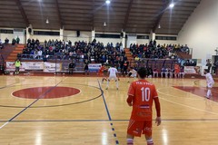 Aquile Molfetta in crisi di risultati: sconfitta anche contro il Futsal Canicattì