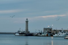 "Tutti a Molfetta": 44° convegno dei molfettesi nel mondo