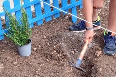 Torna l’Orto dei Bambini a Molfetta: aperte le adesioni