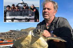 WWF Molfetta, Guardia Costiera e IISS "Vespucci" insieme per dare nuova vita alle tartarughe