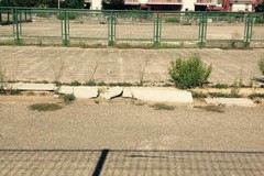 Pista di pattinaggio: quale futuro?