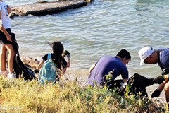 I volontari Plastic Free Molfetta ripuliscono la costa ovest della città