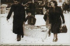 Alla ricerca dei familiari di tre molfettesi scomparsi dopo l’8 settembre 1945
