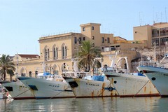 Mercato ittico all'ingrosso, il Comune ottiene 662 mila euro di finanziamento