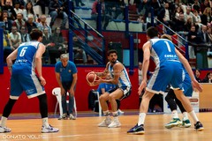 Play-in Gold, la Virtus Basket Molfetta batte il Sala Consilina