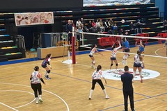 La Dinamo Molfetta gioca alla pari contro l’Amatori Volley Bari ma è costretta a cedere per 0-3