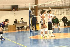 La Dinamo Molfetta torna al Pala Poli per sfidare l’ASEM Volley Bari