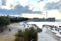 30 anni fa la messa a dimora dei primi esemplari di tamerici in località Prima Cala a Molfetta