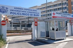 Scooter contro cavallo, conducente 18enne ferito: è in prognosi riservata