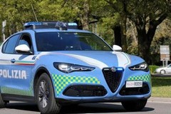 Auto rubate (anche a Molfetta), smontate e riciclate, 12 fermi