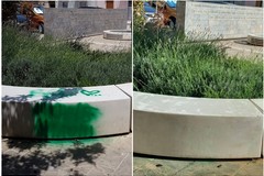Vandalismo in piazza Immacolata: intervento dell'ASM Molfetta