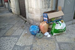 Tolleranza zero verso chi abbandona i rifiuti, Minervini: «L'inasprimento funga da deterrente»