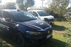 Recuperate due auto rubate. Una è stata ritrovata cannibalizzata
