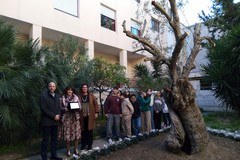 Festa dell'albero, piantumazione di nuovi alberi presso l'IC "Scardigno-Savio"