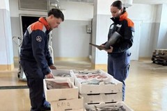 Pesca illegale al largo di Molfetta: sanzionati in due