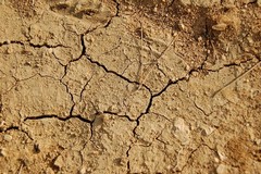 Coldiretti denuncia: «Il 57% del territorio pugliese a rischio desertificazione»