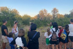 Conclusa la rassegna estiva "Ti raccontiamo la natura" a Lama Martina