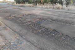 Degrado nella zona industriale di Molfetta: lanciata la petizione online