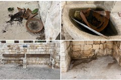 Giardino delle Aloe in preda ai vandali. I residenti: «Lo spazio va chiuso o monitorato»