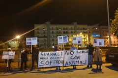 Manifestazione di protesta da parte del gruppo "No al circo a Molfetta"
