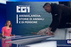 Il Centro Recupero Tartarughe di Molfetta stasera su Rai Uno