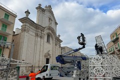 Aria natalizia a Molfetta: al via l'allestimento del grande albero