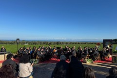 "Foglia Nuova": l'evento che celebra la Cicoria Puntarelle molfettese