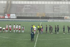 Vittoria d'orgoglio del Borgorosso Molfetta: battuta la Virtus Palese