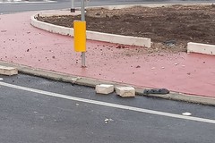 Nuova rotatoria sulla Molfetta-Terlizzi: ancora non inaugurata ma già danneggiata da un'auto