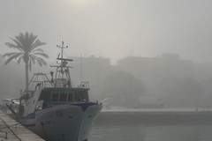 Molfetta nuovamente avvolta dalla nebbia