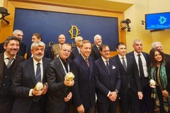 Da Molfetta a Montecitorio: alla "Diolovuole Band" il premio Excellence Pugliesi 2025