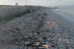 Erosione costiera a Molfetta: ecco la zona più a rischio