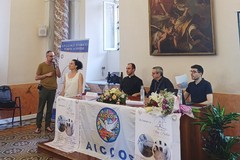 Presentata la residenza socio-assistenziale "San Pietro": recuperato uno storico edificio nel cuore di Molfetta