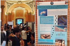 Il Centro Recupero Tartarughe Marine di Molfetta protagonista al convegno nazionale dell’erpetologia