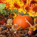 Alimenti d’autunno: un pieno di energia per prepararci all’inverno