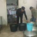 Controlli alimentari a Molfetta: sequestrati oltre 8.000 chili di merce