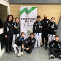 Taekwondo, l’ASD All-In di Molfetta conquista quattro medaglie al Campionato Interregionale
