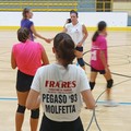 Volley, la Pegaso Molfetta pronta alla nuova stagione