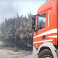 Incendio a Miragica, indagini sui filmati delle telecamere