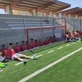 Mercoledì 27 luglio raduno selettivo per la Juniores della Molfetta Calcio