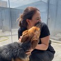 Nuova vita per Ulaa, dalla Gepa Molfetta «collaborazione e disponibilità»