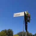 Domani i 30 anni dalla strage di Capaci. Molfetta ricorda Giovanni Falcone