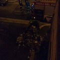 Botti, cassonetti a fuoco in via d'Azeglio