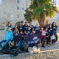 Quasi 8.000 mozziconi raccolti nel centro storico: Plastic Free rilancia “Molfetta senza cicche”