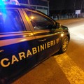 Ucciso un uomo sulla 16 bis. Era diretto al mercato ortofrutticolo di Molfetta